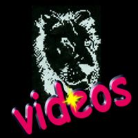 videos